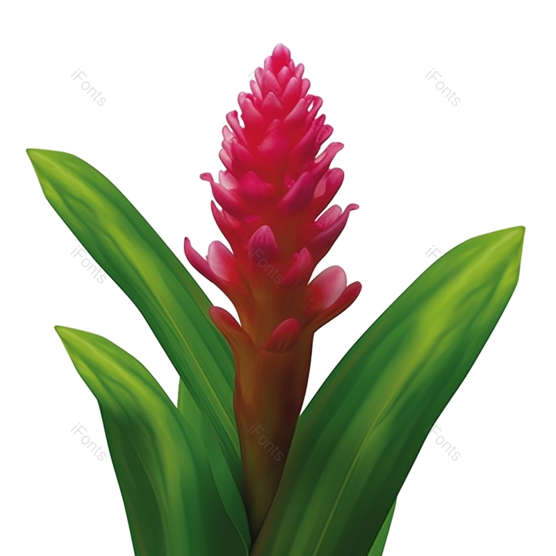 叶子图片,花纹元素,户外PNG,夏天免抠素材